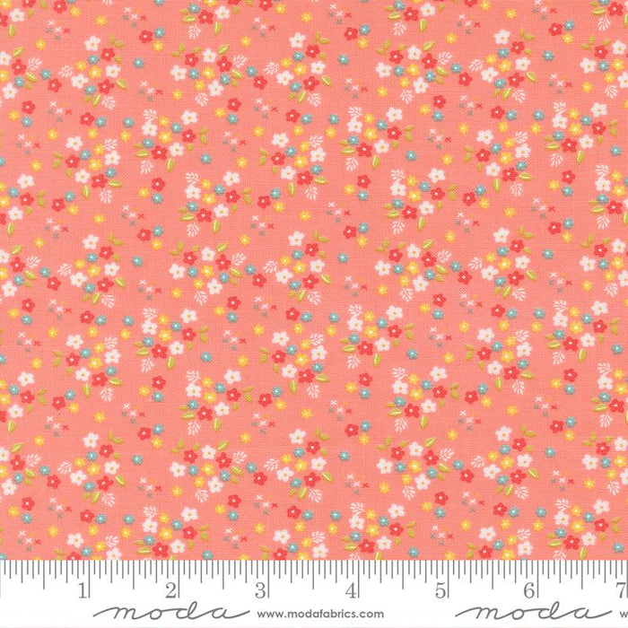 F2466 - Delightfully Yours Carnation