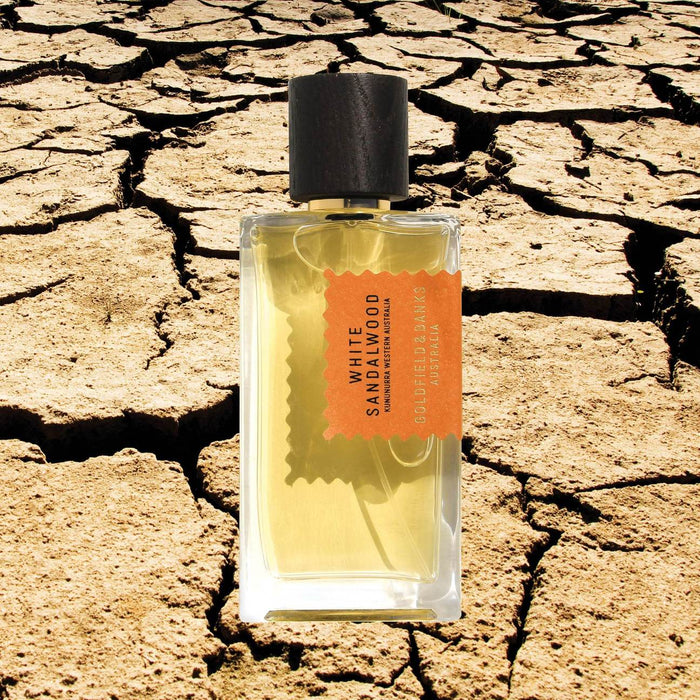 Goldfield & Banks White Sandlewood