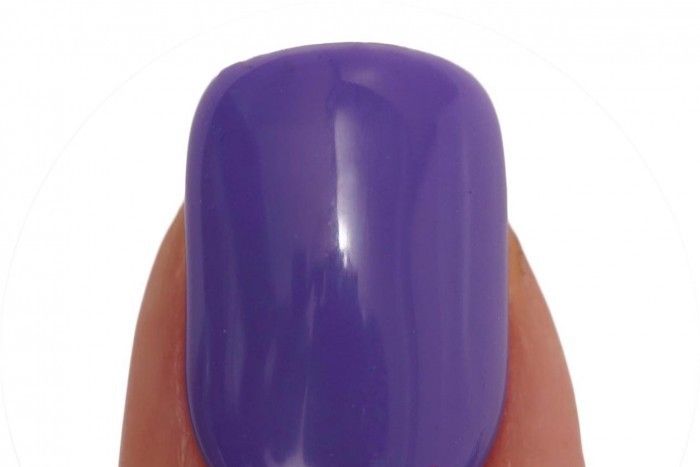 LECHAT Dare to Wear Nail Polish - "LA FLEUR" Collection (6 Colors)