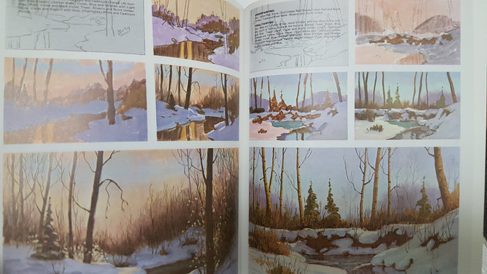 Walter Foster how to Draw and Paint--Winter Landscapes #126