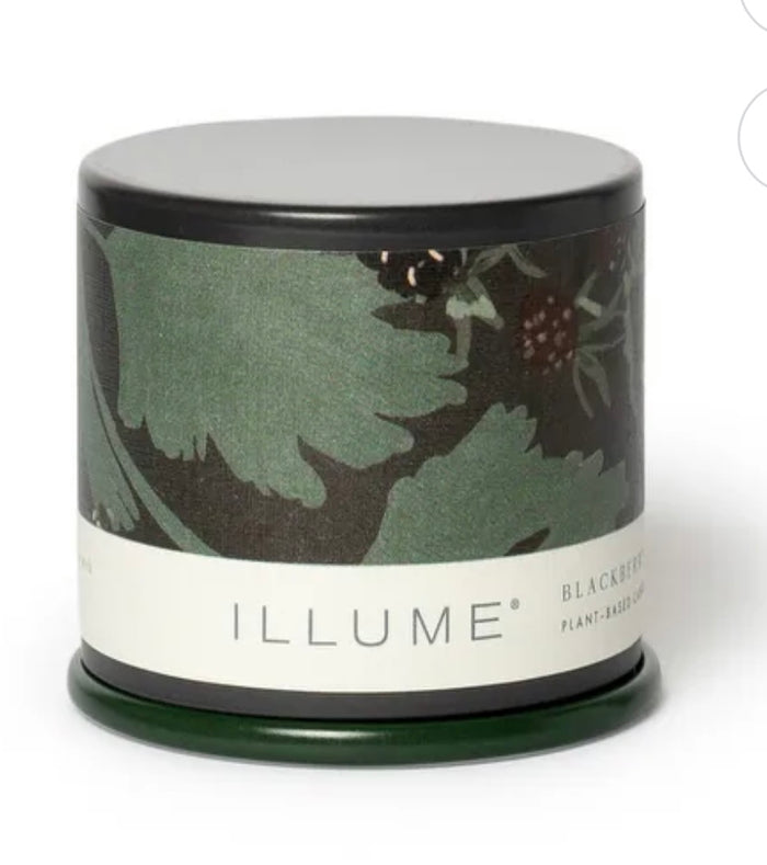 Blackberry Absinthe Demi Vanity Tin Candle