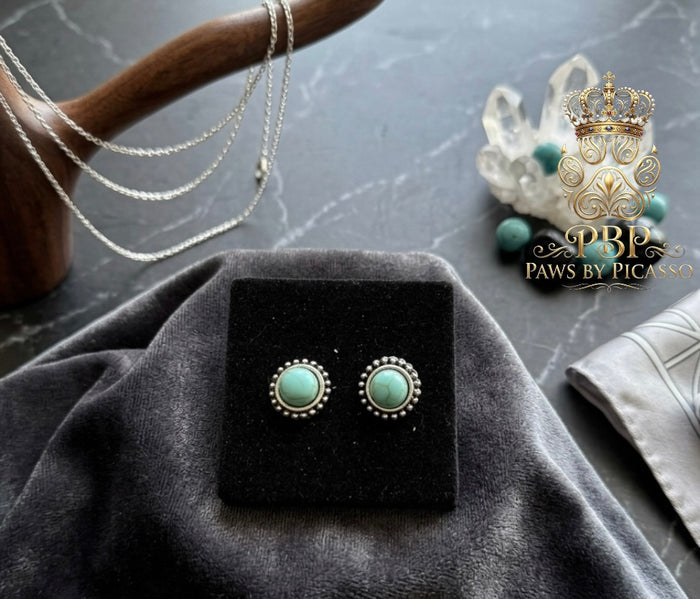 Turquoise earrings on a black stand with 'Paws by Picasso' branding in the background.
