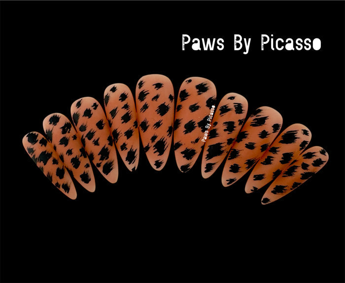 Chocolate Cheetah - Paws By Picasso Chocolate Cheetah