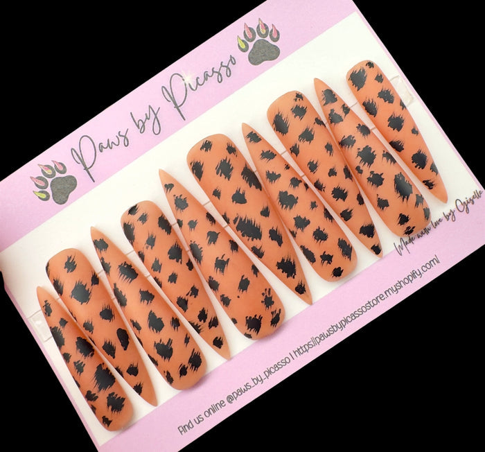 Chocolate Cheetah - Paws By Picasso Chocolate Cheetah