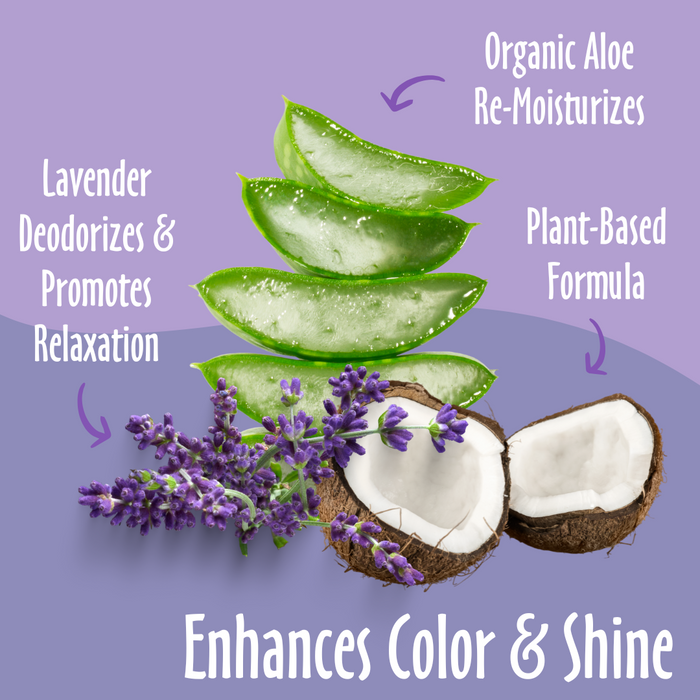 Enhances color & shine elements like Lavender, Organic Aloe, Plant-Based and their benefits.