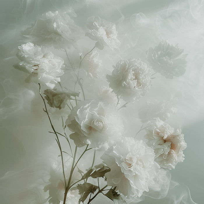 A highly detailed image of white flowers with a soft focus on the petals, giving a dreamlike or ethereal appearance.