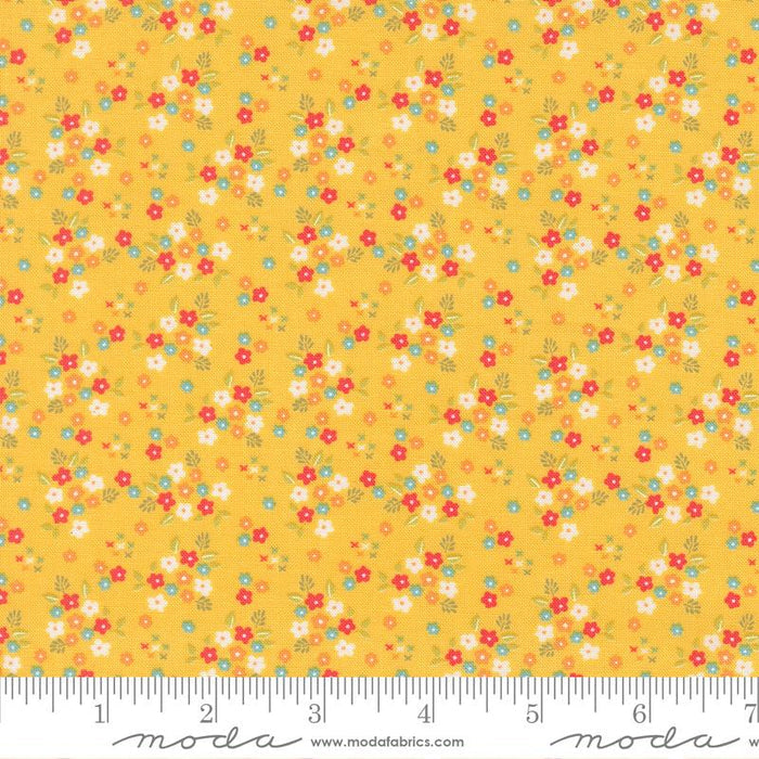 F2465 - Delightfully Yours Buttercup