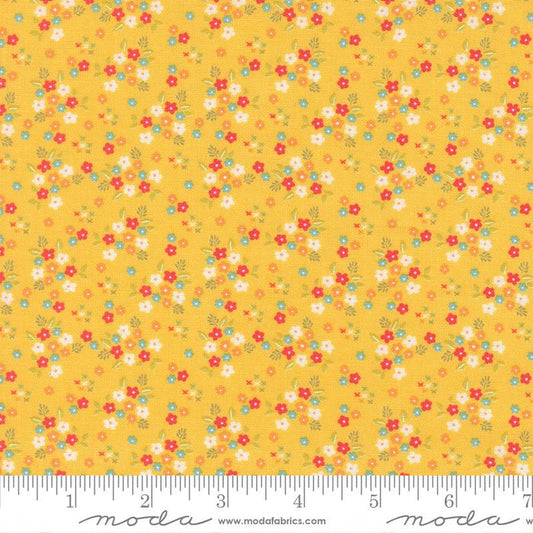F2465 - Delightfully Yours Buttercup