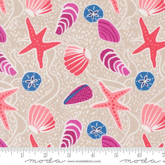 F2570 - Reef Sea Shells, Sand
