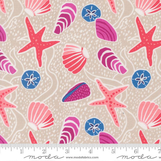 F2570 - Reef Sea Shells, Sand