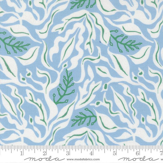 F2578 - Reef Under the Sea, Marlin