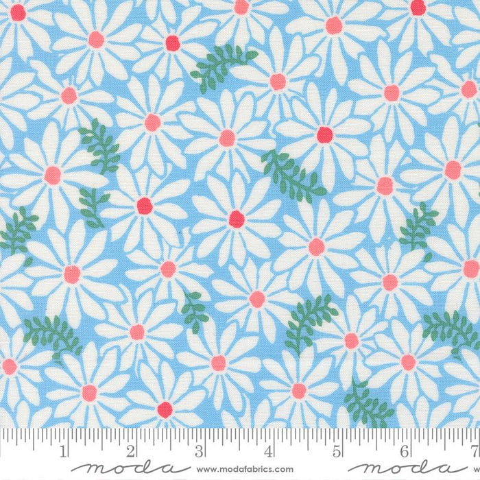 F2581 - Reef Bloom, Sky
