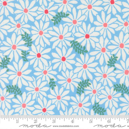 F2581 - Reef Bloom, Sky