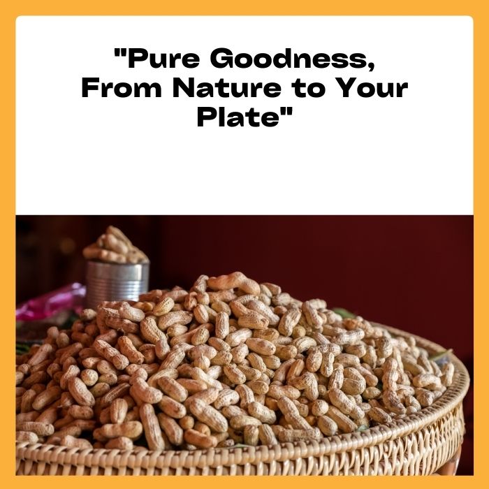 Groundnut Cold Pressed oil - 1 ltr