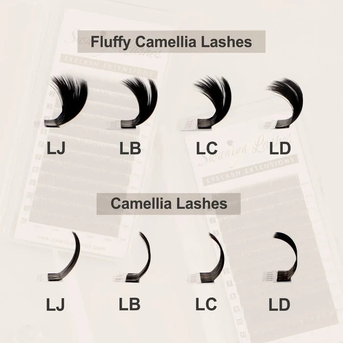 LJ / LB / LD / LC Curl Camellia Lash Extensions| Swaniya Lashes