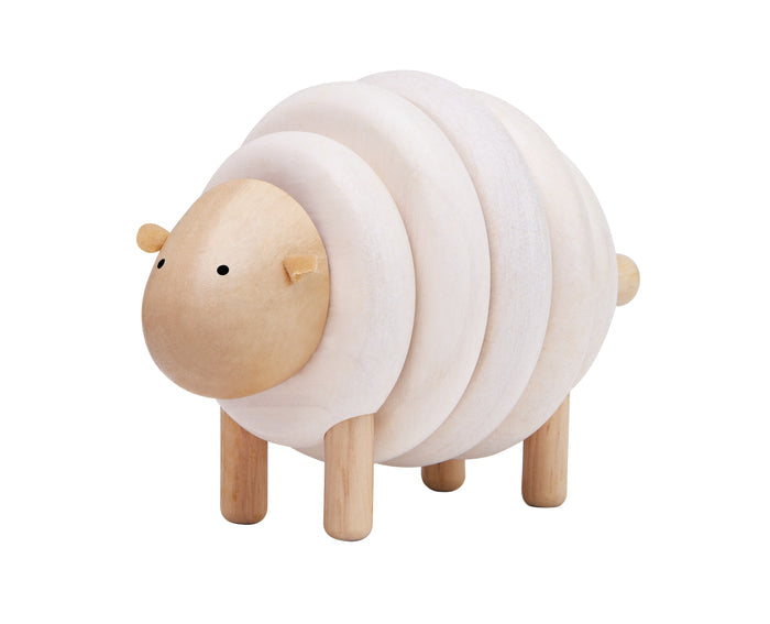 Lacing Sheep