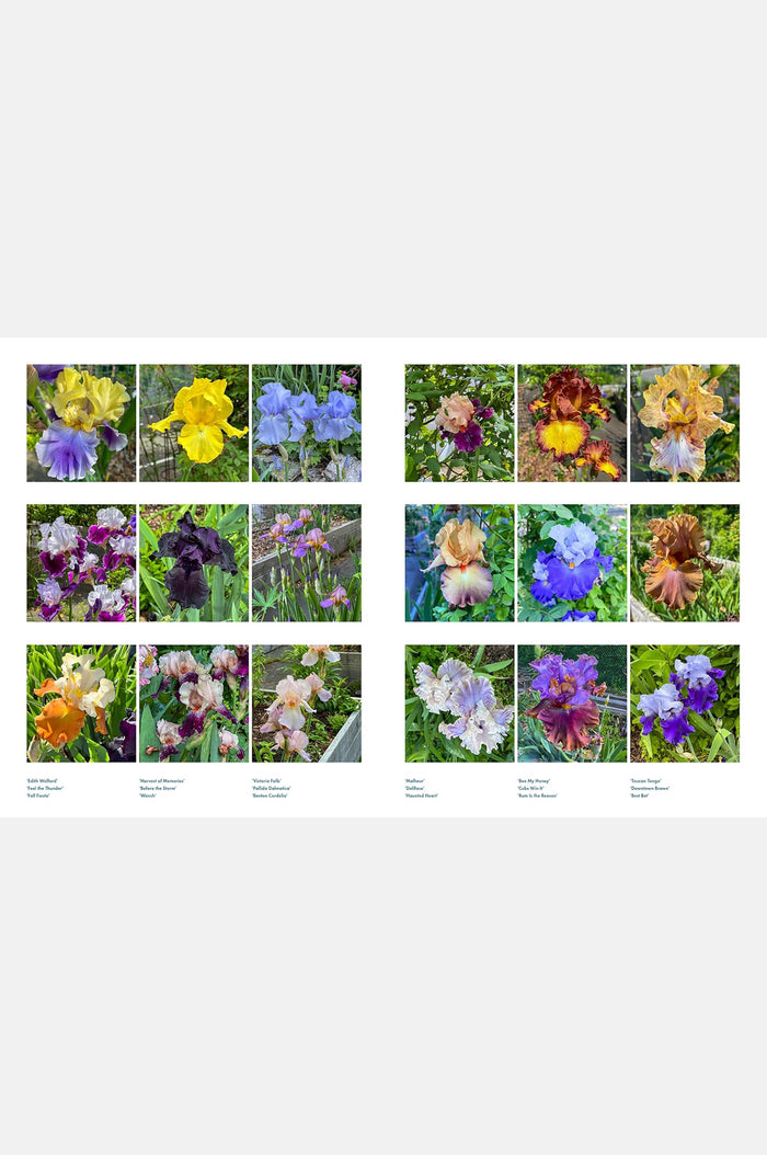 Life With Flowers