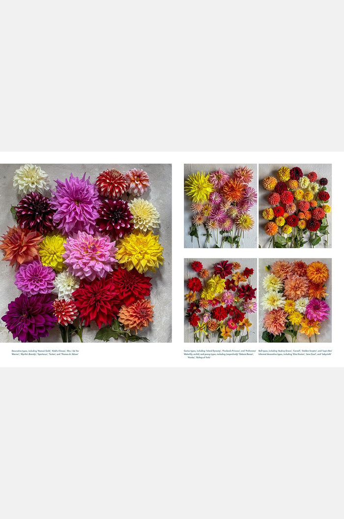 Life With Flowers