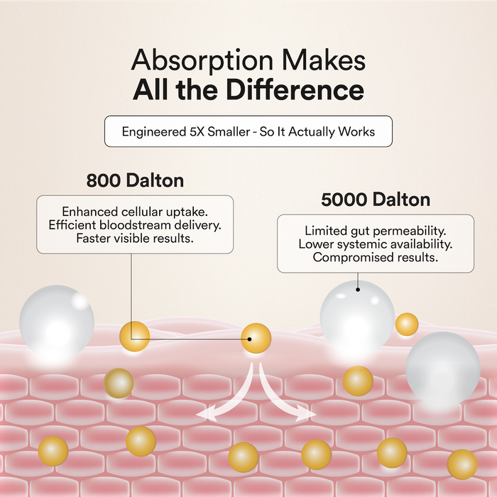 Collagen with Better Absorption