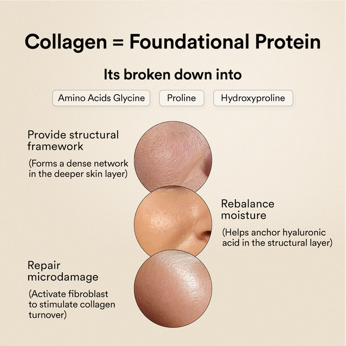 Collagen = Foundational Protein