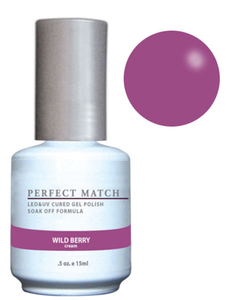 New LeChat Perfect Match Rustic Retreat Collection Gel + Matching Nail Polish