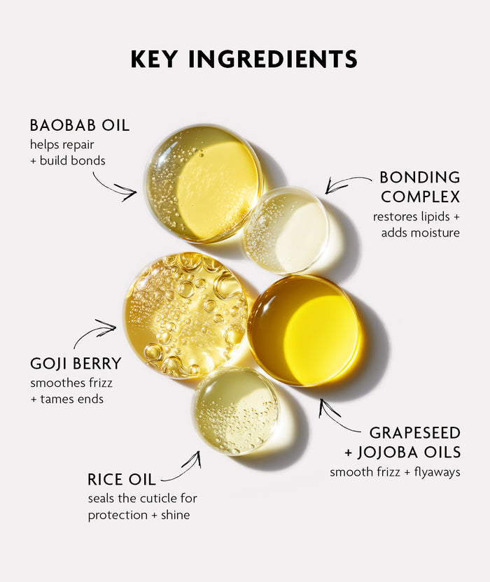 Key ingredients of a hair care product with labeled benefits on a white background