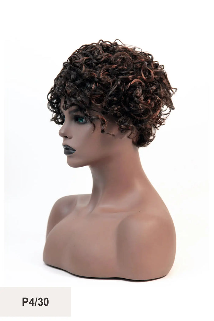 SHAKE N GO FREETRESS EQUAL FULL WIG - KIM - BSW BEAUTY CANADA