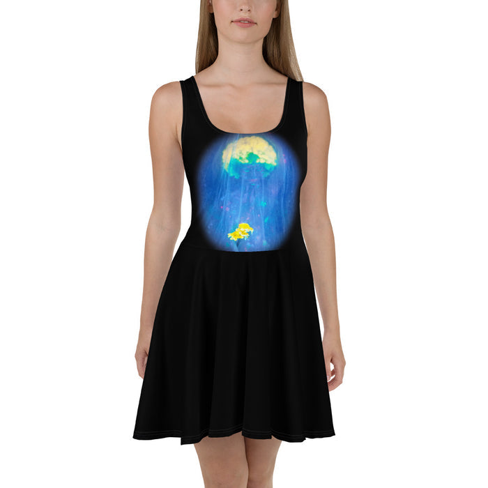 Skater Dress