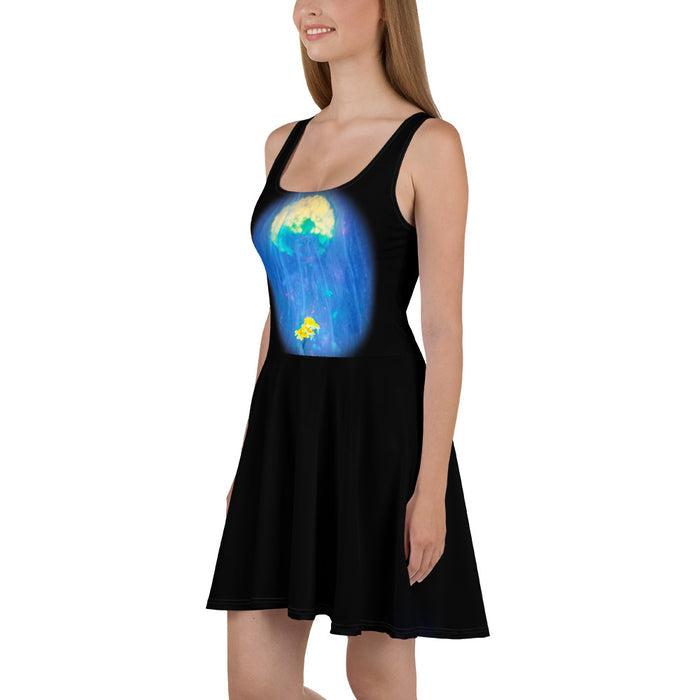 Skater Dress