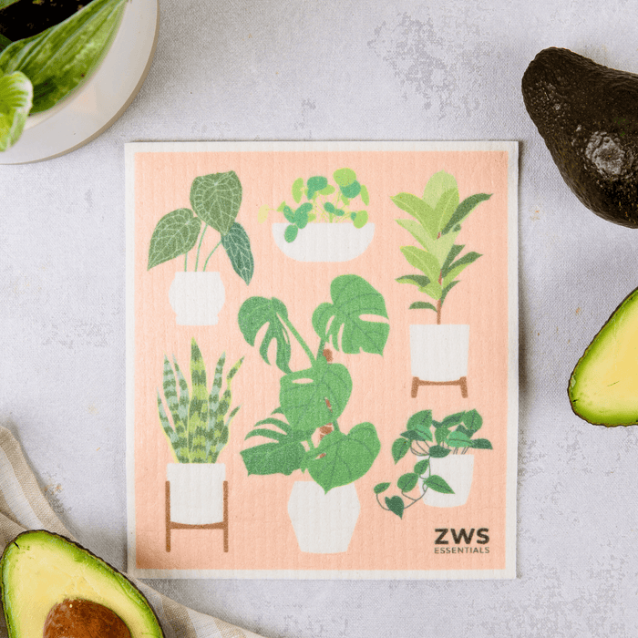 Houseplants
