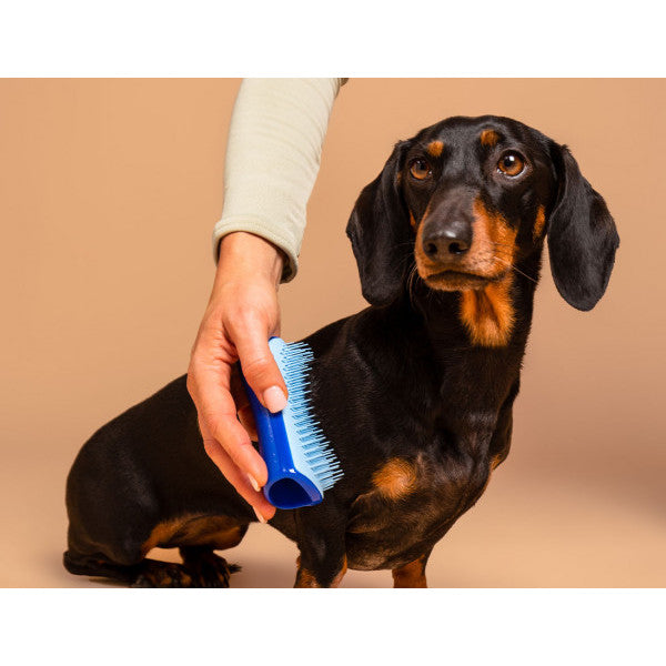 Tangle Teezer Small De-Shedding Pet Teezer - Blue/Light Blue