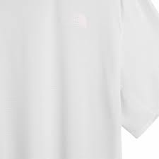 THE NORTH FACE HIGH TRAIL TEE PEARL STONE HOMBRE