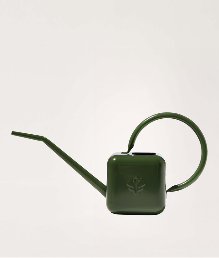 Green watering can on a light gray background.