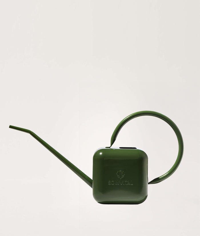 Green watering can on a white background.