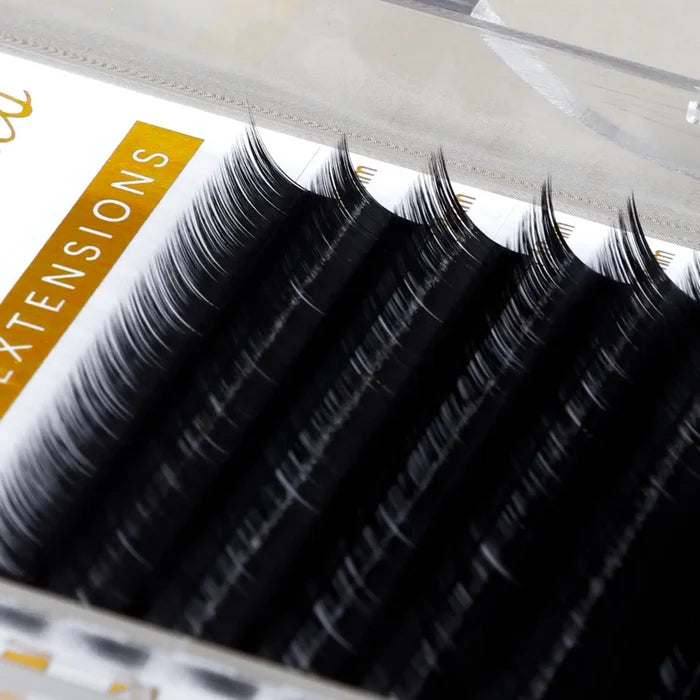 U Curl Lash Extensions | UJ UB UC UD Volume & Classic Mix Tray| Swaniya Lashes