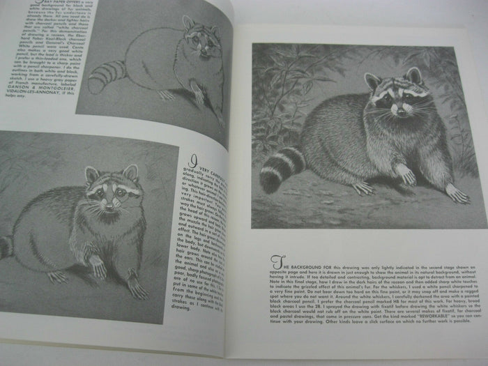 Walter Foster how to Draw and Paint-- Animal Textures #90 By Walter J. Wilwerding
